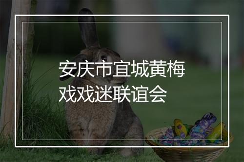 安庆市宜城黄梅戏戏迷联谊会