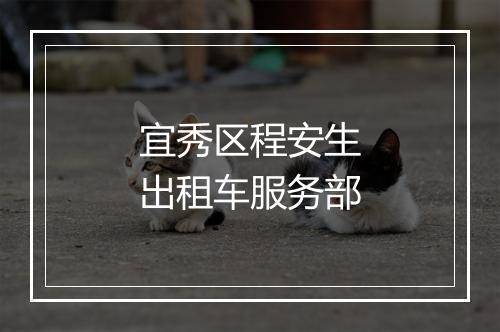 宜秀区程安生出租车服务部