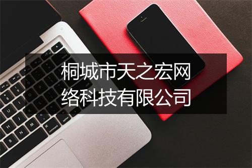 桐城市天之宏网络科技有限公司