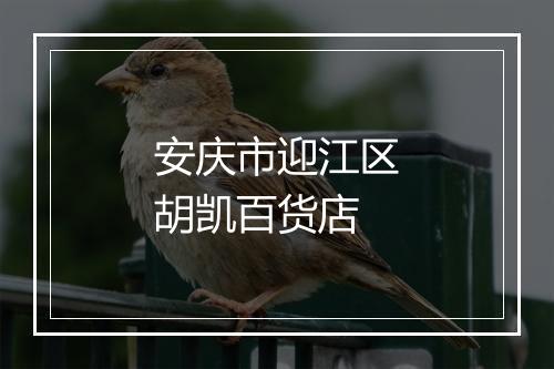 安庆市迎江区胡凯百货店