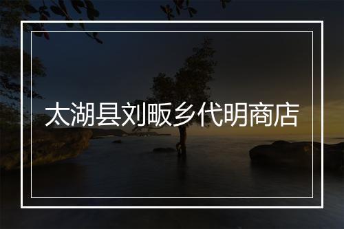太湖县刘畈乡代明商店