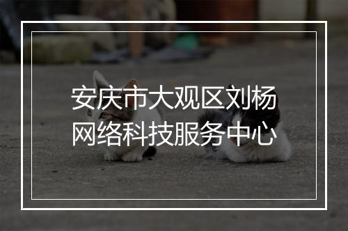 安庆市大观区刘杨网络科技服务中心
