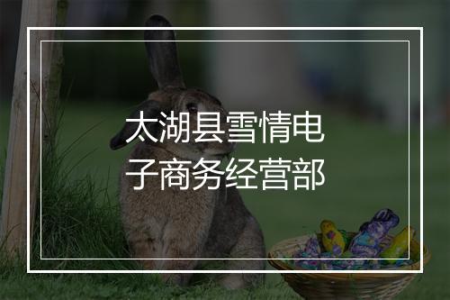 太湖县雪情电子商务经营部