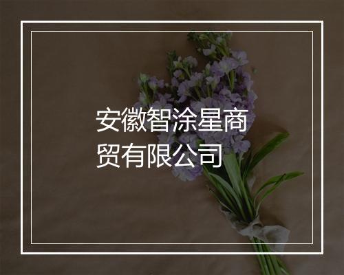 安徽智涂星商贸有限公司