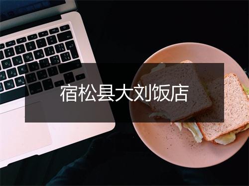 宿松县大刘饭店