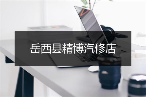 岳西县精博汽修店