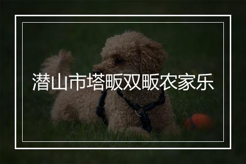 潜山市塔畈双畈农家乐