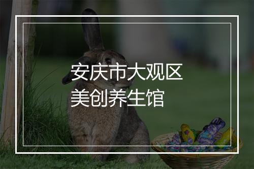 安庆市大观区美创养生馆