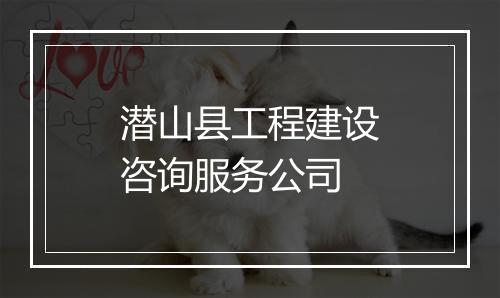 潜山县工程建设咨询服务公司