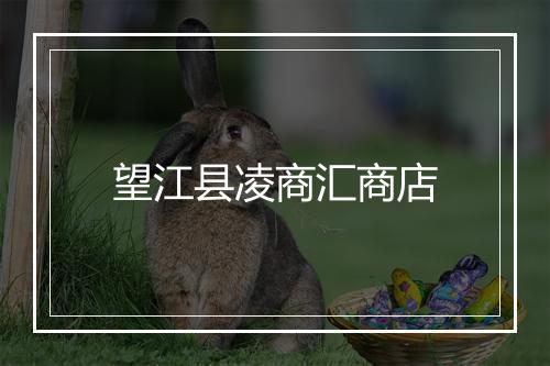 望江县凌商汇商店