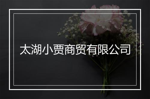 太湖小贾商贸有限公司