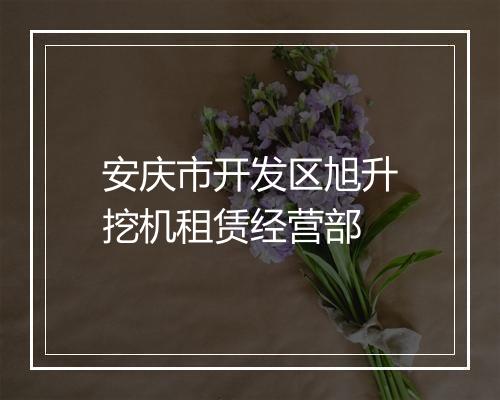 安庆市开发区旭升挖机租赁经营部