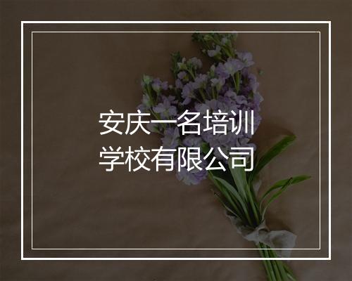 安庆一名培训学校有限公司