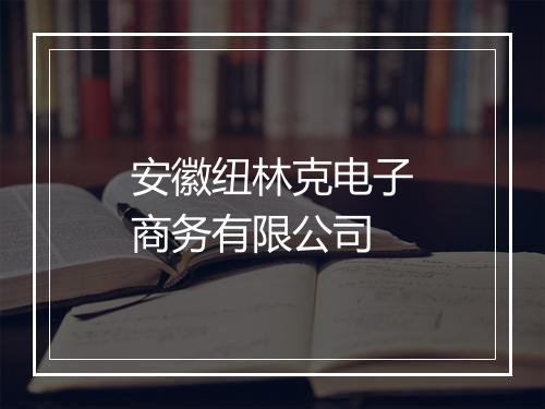安徽纽林克电子商务有限公司