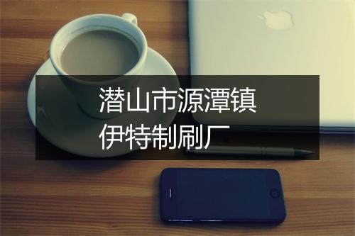 潜山市源潭镇伊特制刷厂