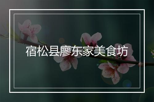 宿松县廖东家美食坊