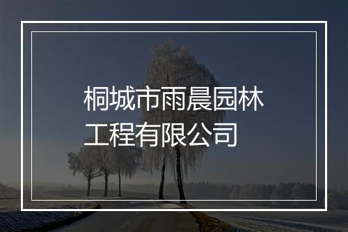 桐城市雨晨园林工程有限公司