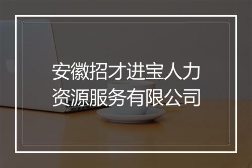 安徽招才进宝人力资源服务有限公司