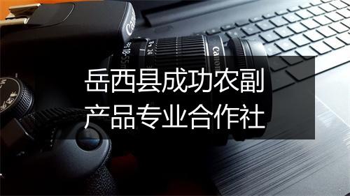 岳西县成功农副产品专业合作社