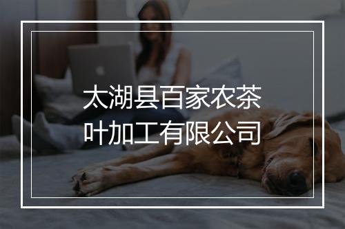 太湖县百家农茶叶加工有限公司