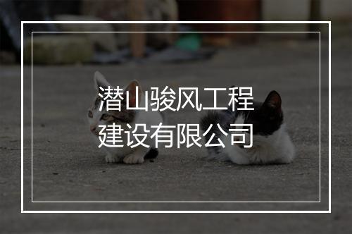 潜山骏风工程建设有限公司