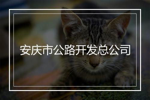 安庆市公路开发总公司
