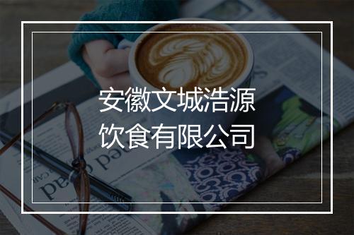 安徽文城浩源饮食有限公司