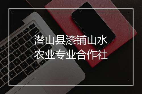 潜山县漆铺山水农业专业合作社