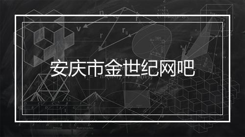 安庆市金世纪网吧