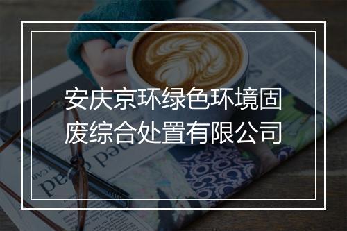 安庆京环绿色环境固废综合处置有限公司