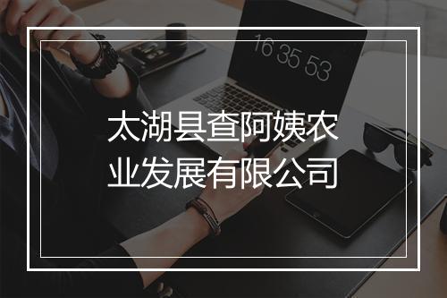太湖县查阿姨农业发展有限公司