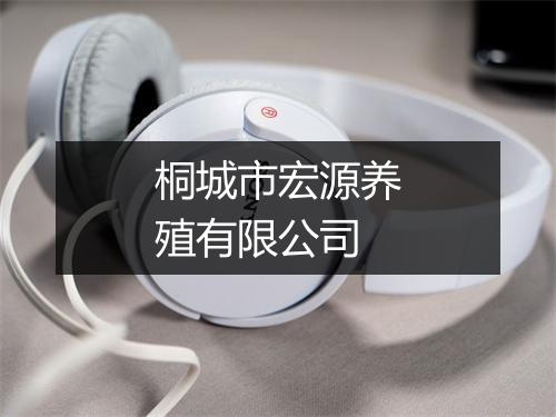 桐城市宏源养殖有限公司