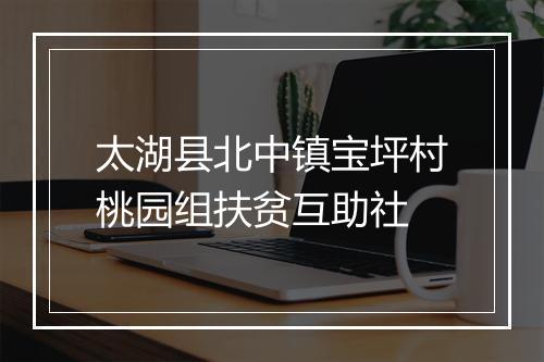 太湖县北中镇宝坪村桃园组扶贫互助社