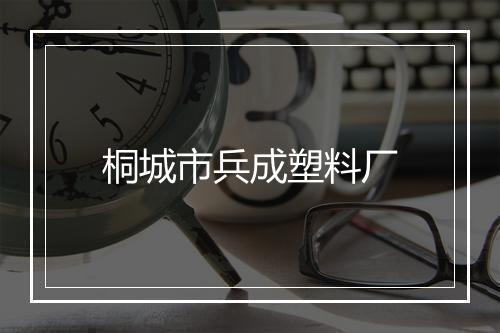 桐城市兵成塑料厂