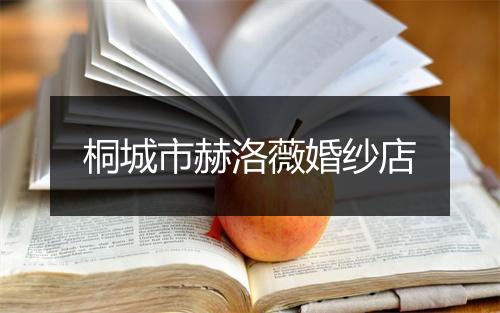 桐城市赫洛薇婚纱店