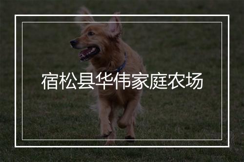 宿松县华伟家庭农场