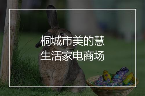 桐城市美的慧生活家电商场