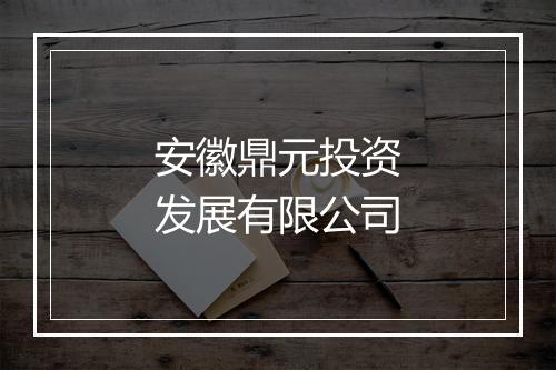 安徽鼎元投资发展有限公司