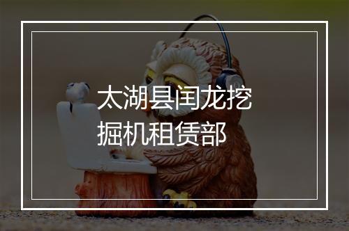 太湖县闰龙挖掘机租赁部