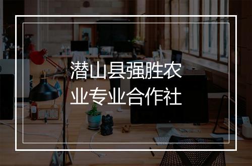 潜山县强胜农业专业合作社