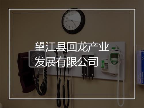 望江县回龙产业发展有限公司