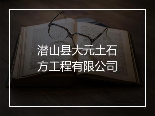 潜山县大元土石方工程有限公司