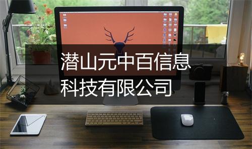 潜山元中百信息科技有限公司