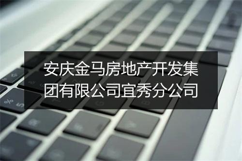 安庆金马房地产开发集团有限公司宜秀分公司