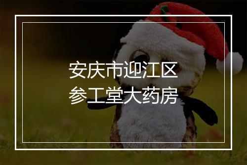 安庆市迎江区参工堂大药房