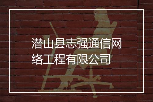 潜山县志强通信网络工程有限公司