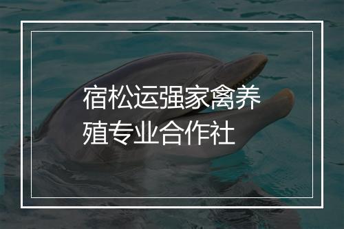 宿松运强家禽养殖专业合作社