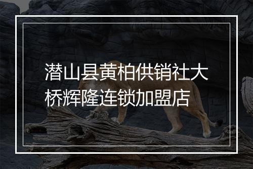 潜山县黄柏供销社大桥辉隆连锁加盟店