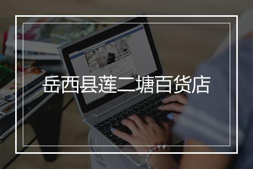岳西县莲二塘百货店