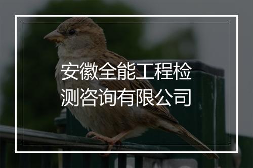 安徽全能工程检测咨询有限公司